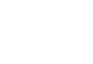 B's-eye
